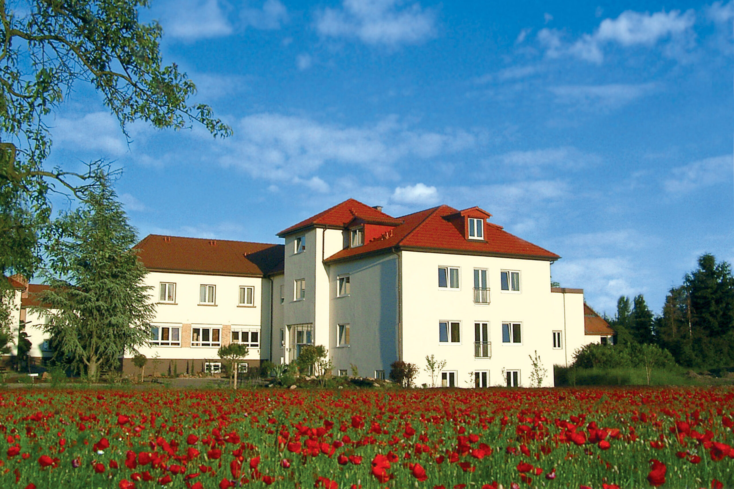 Lebenspark – Mehr als Wohnen. Standort Elbingerode, Oberharz.